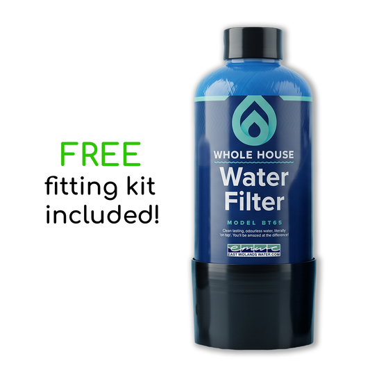 BT65 Whole House Activated Carbon Drinking Water Filter